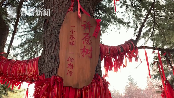 久久乐