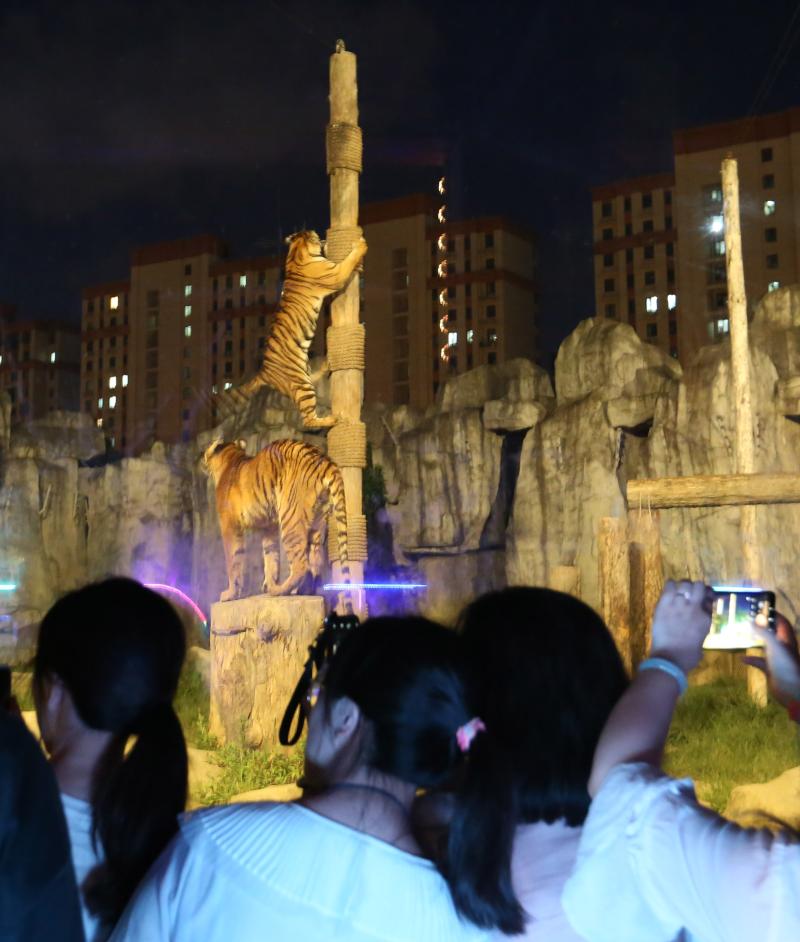一定牛彩票下载苹果版