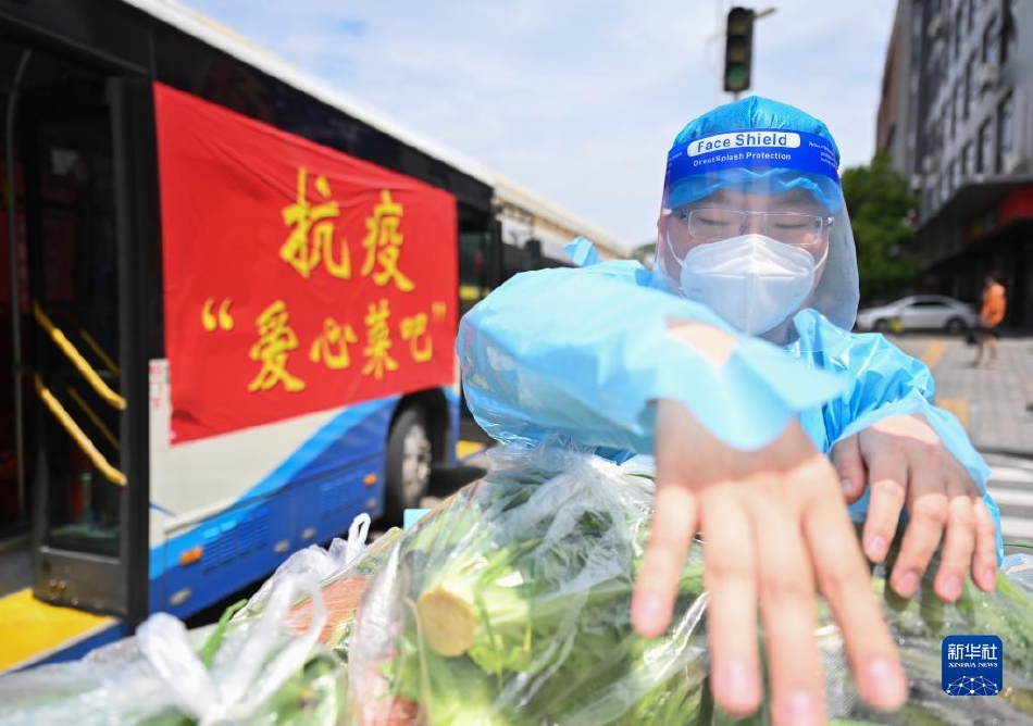 黄色网战在线免费观看
