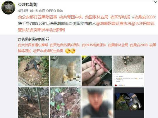 久久黄色片