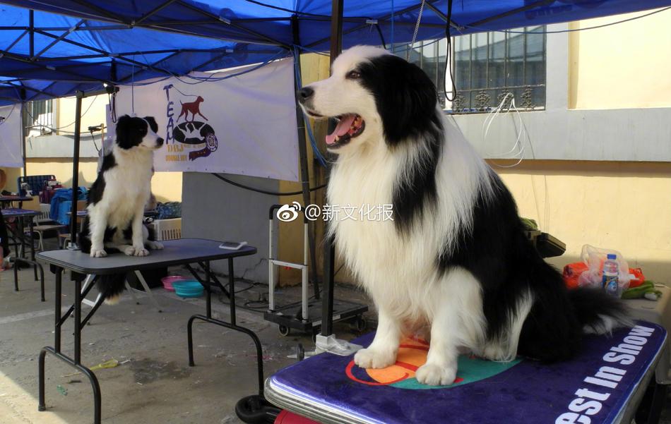 泥巴 影院 成人