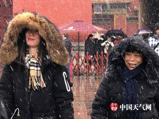 孕妇一级婬片免费播放