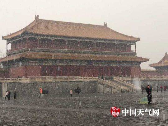 Gogo国模私拍大尺度
