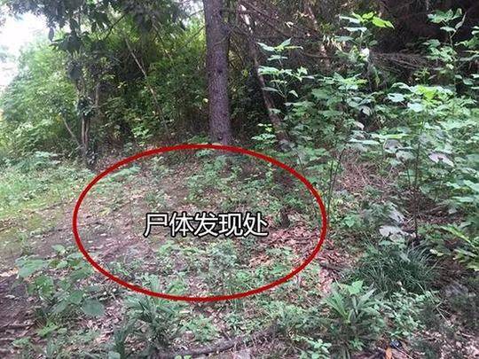 我省3名学子获国家级“科技创新奖”