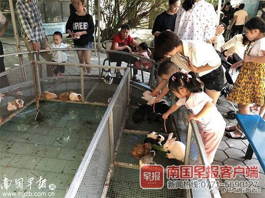 大团圆王芳高飞一家