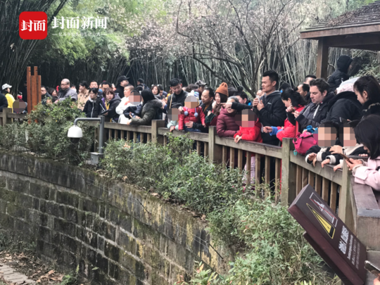 最新 成人 网站