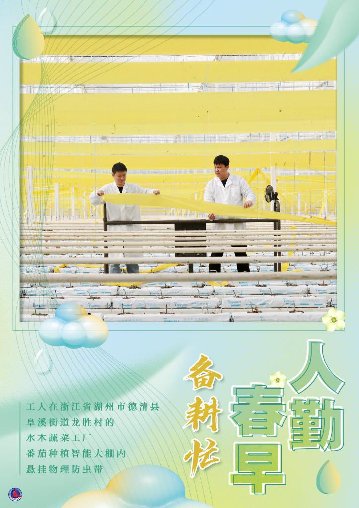 黄色网站免播放器在线视频在线碰视频