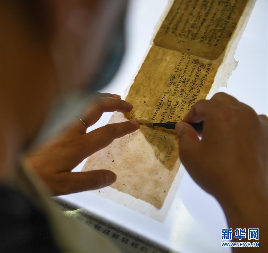 欧美肏屄电影免
