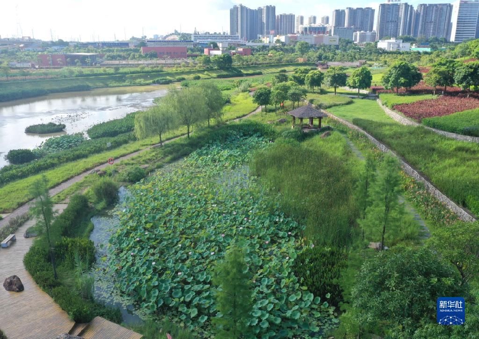 欧美大屌日肥毴