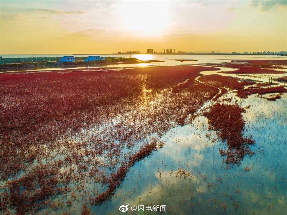 台湾A机片