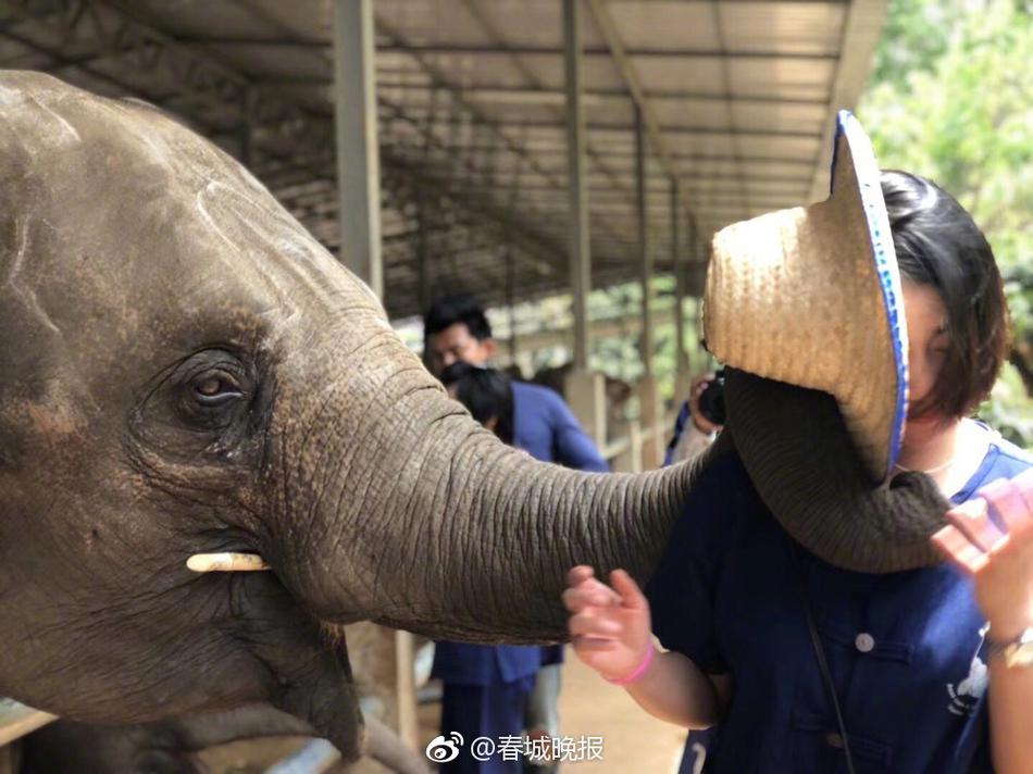 美女被 到爽 高潮草莓游戏