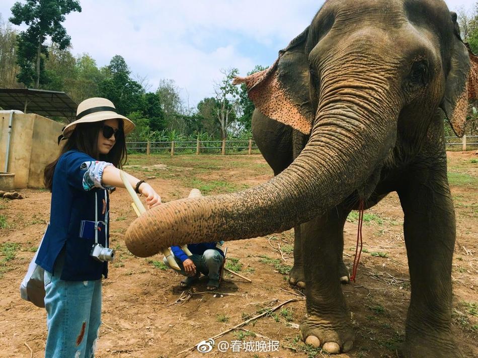 中国一级黄色电影帅男搞基