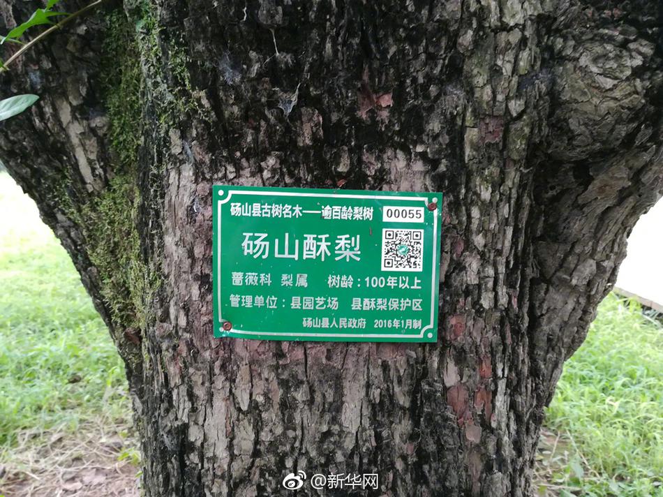 色天堂下载