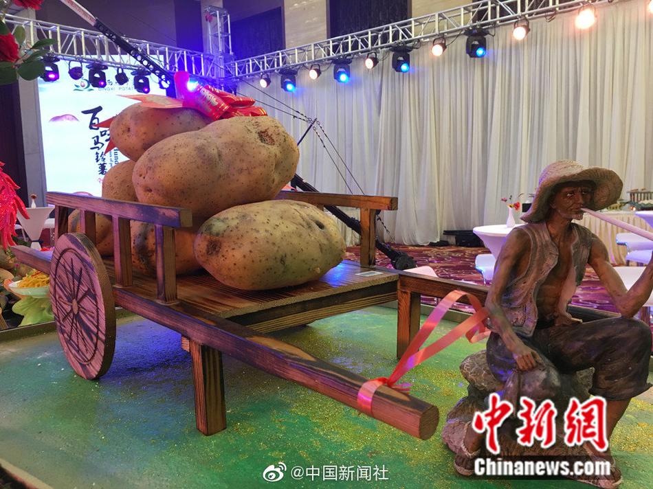 美女露100%双乳无遮挡免费