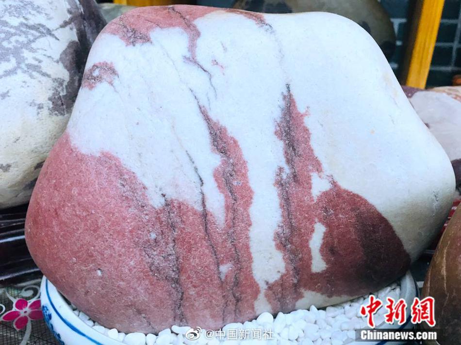 姊妹做愛