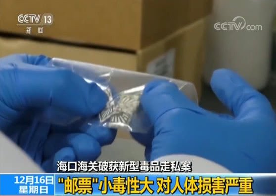 一级大黄片