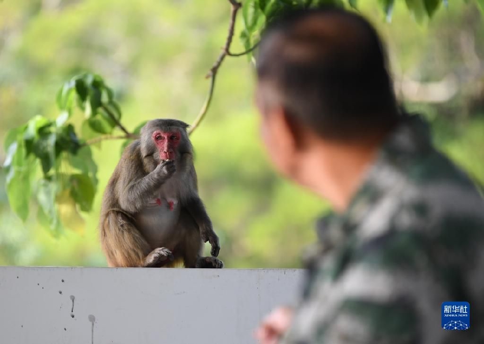 东契奇：我还需要在季后赛证明自己