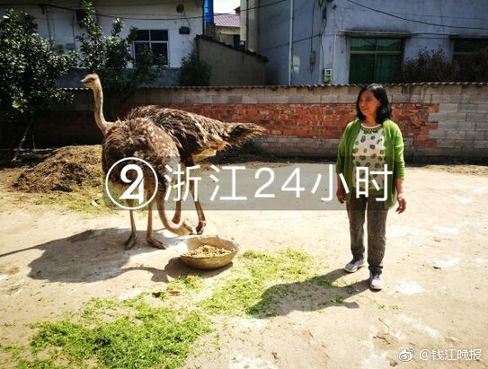 亚洲狠狠