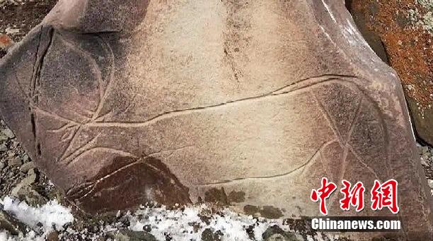 黄色淫片免费看