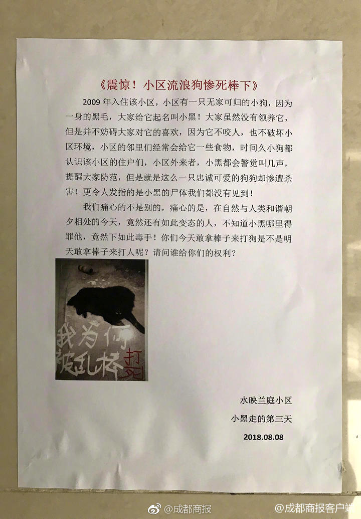 嫖