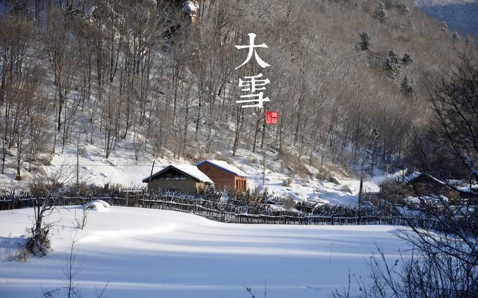 高清无码小电影