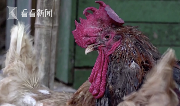人人干干