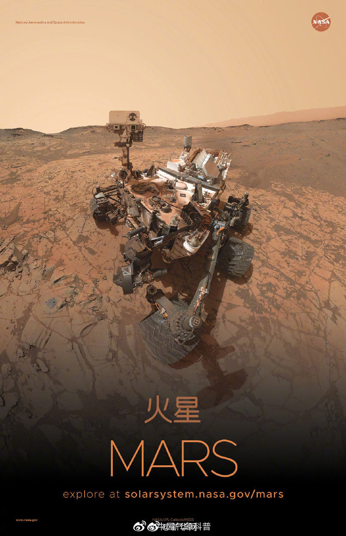 欧美人与人动人物2024心理学