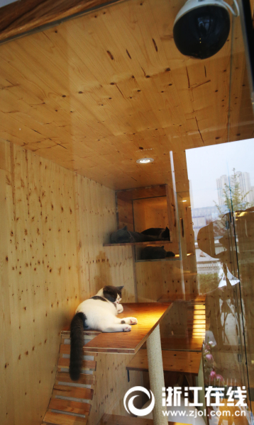 相席居酒屋