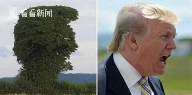 黄色片一级
