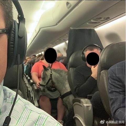 好看的黄色视频原神