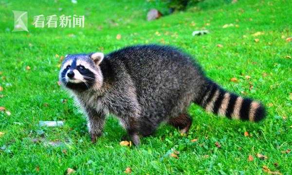 全省迎战旺季保寄递畅通