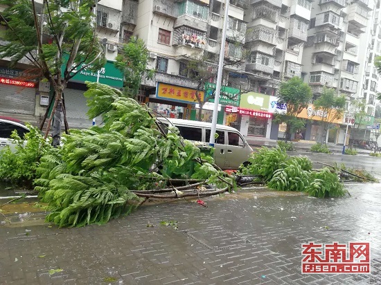 久草资源在线