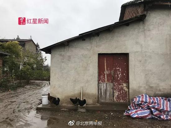 成人性教育片巜啪啪