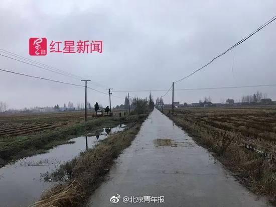 韓國深夜節目