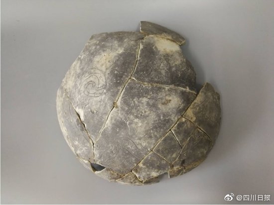 办公室扒开奶罩揉吮奶头A片图片