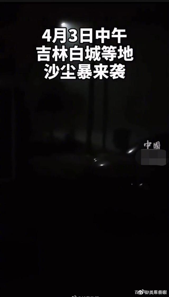 张柏芝全套无删