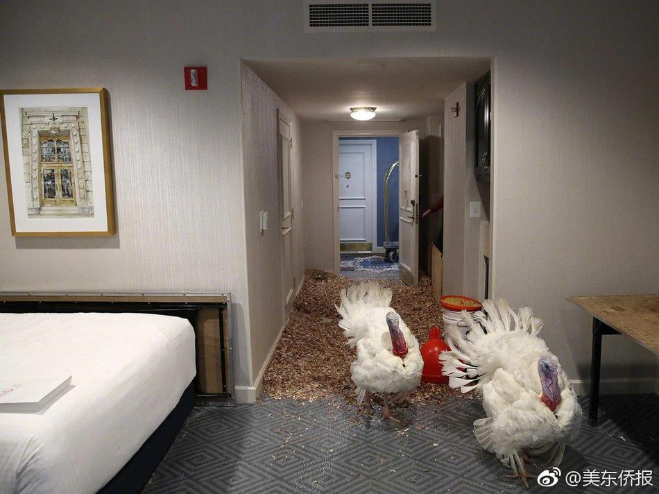 免费被 黄漫游戏
