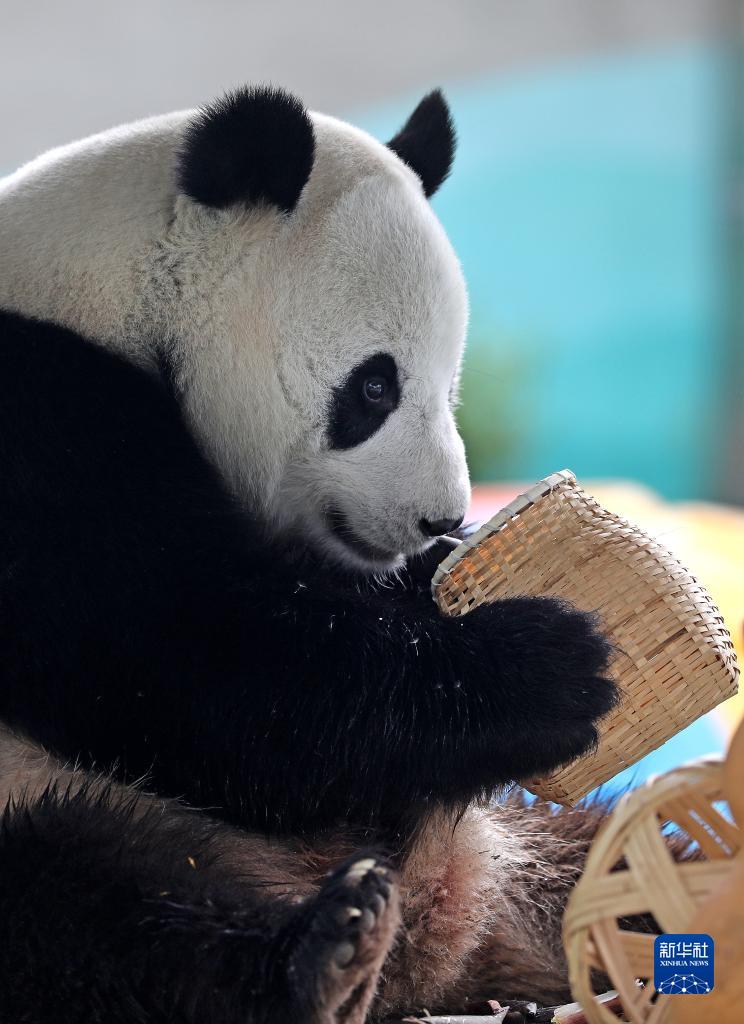 国产做受   麻豆