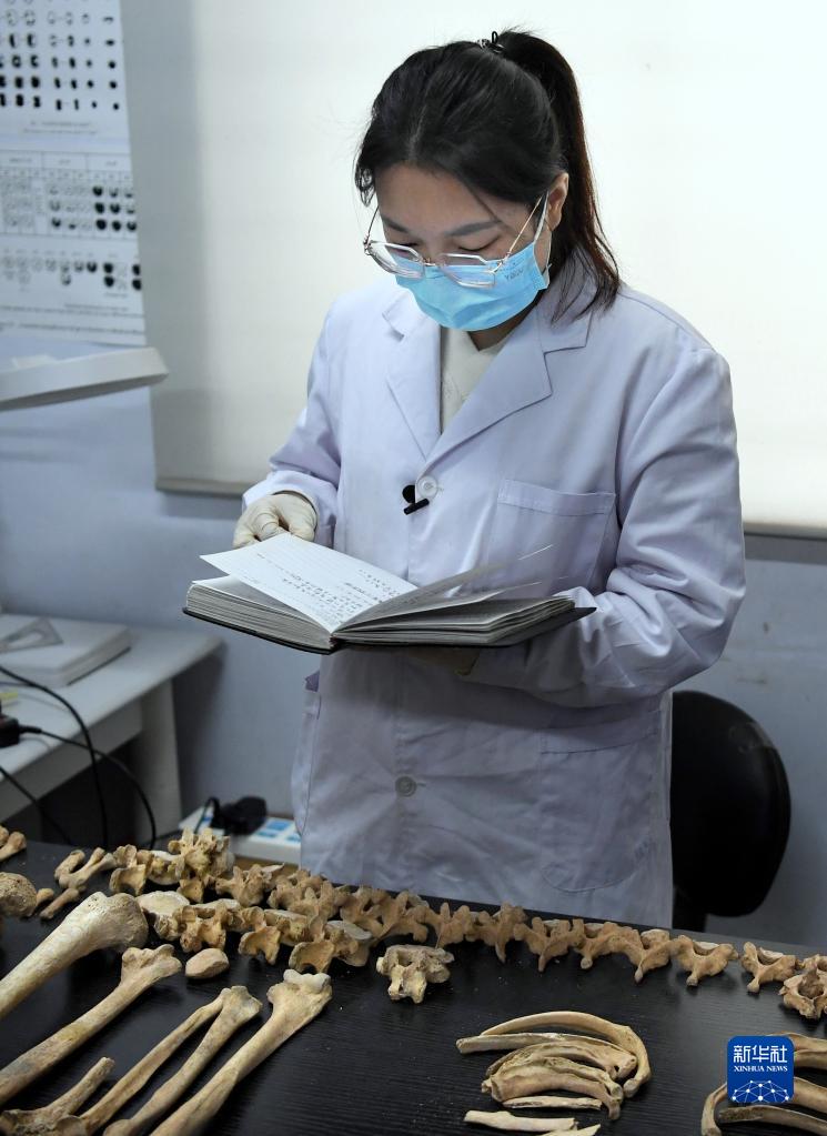 国产美女性爱免费视频
