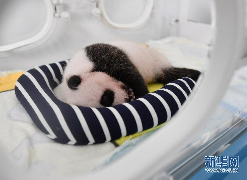 丝袜一区