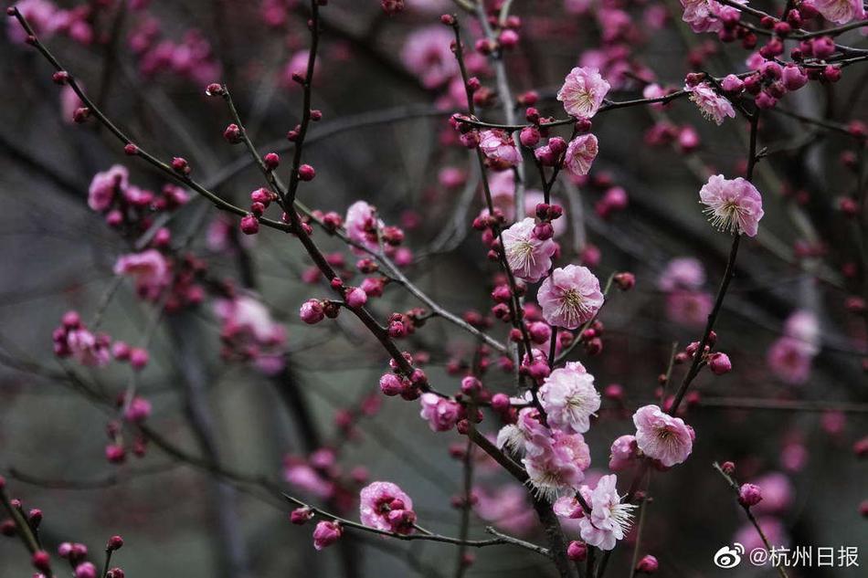 两两相伴 梦牵七夕 细数《京门风月》脑补CP[多图]