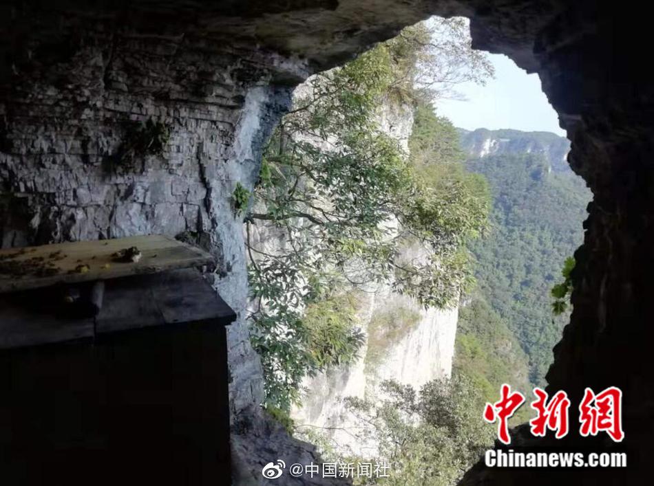 毛片免费视频