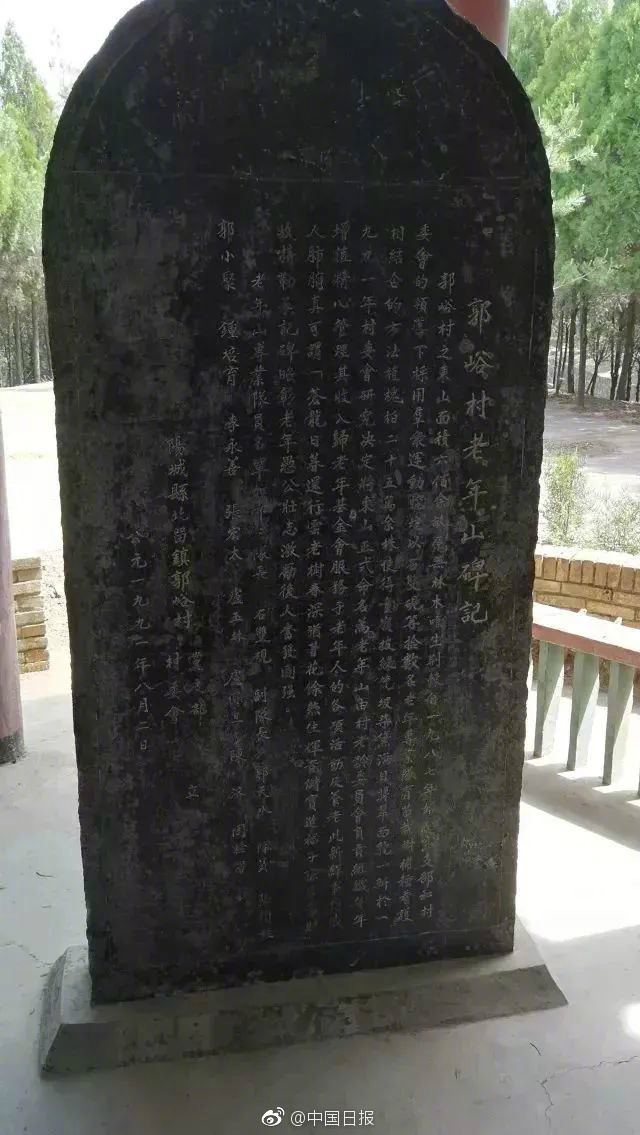 日本无码H肉动漫在线先下载