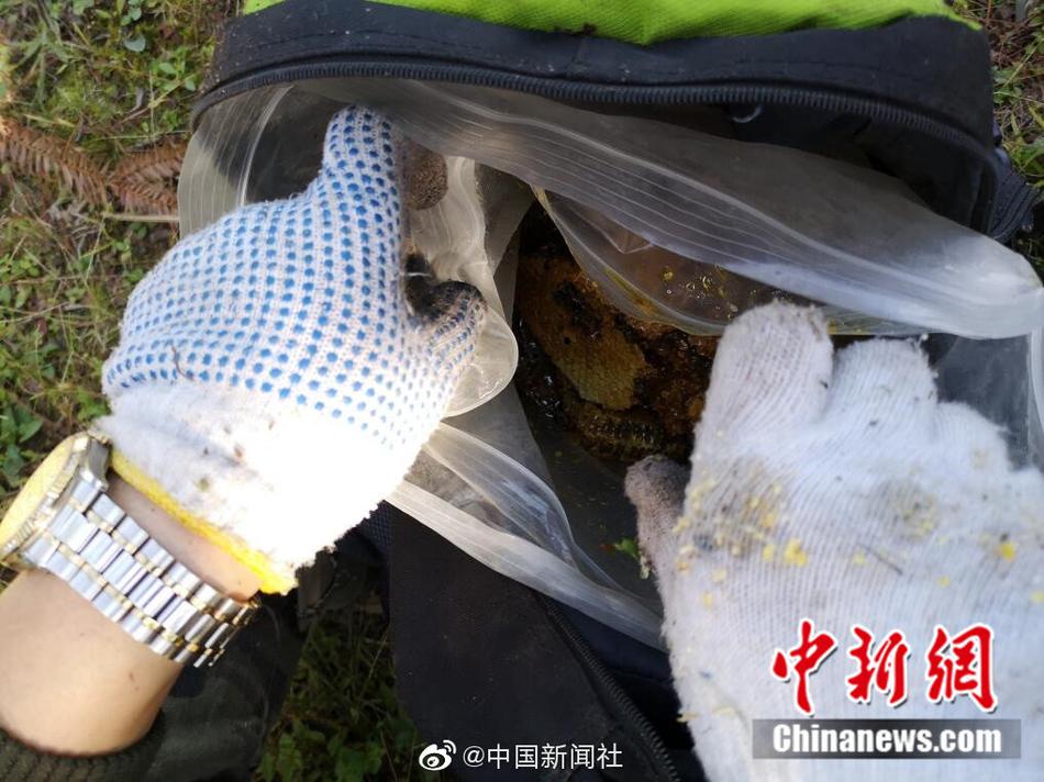 足控脚交 Xx免费网站