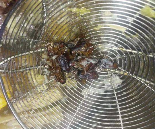 黄色视频三级片国语