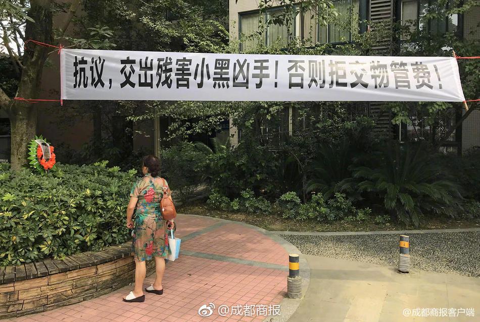 国产乱人伦免费
