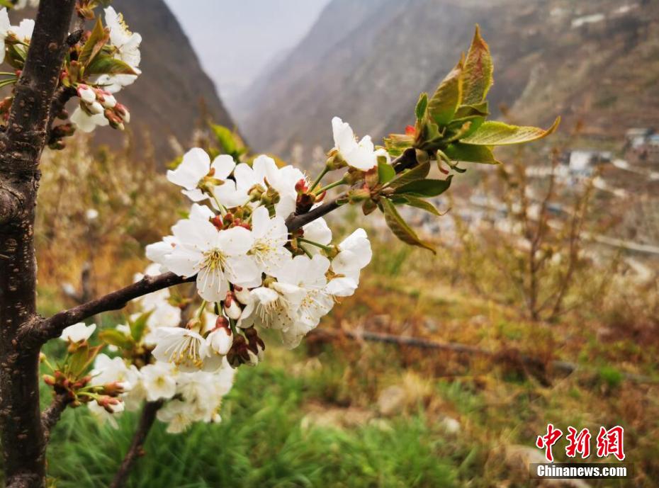 老师中国色情
