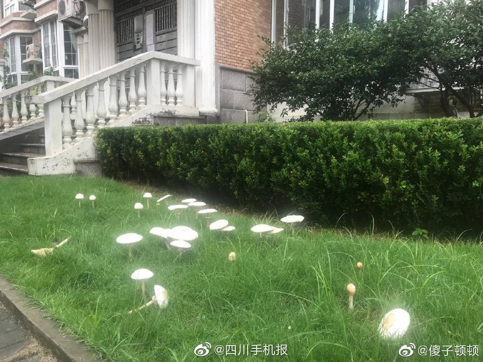 老头XXX╳XX性Aⅴ恋老