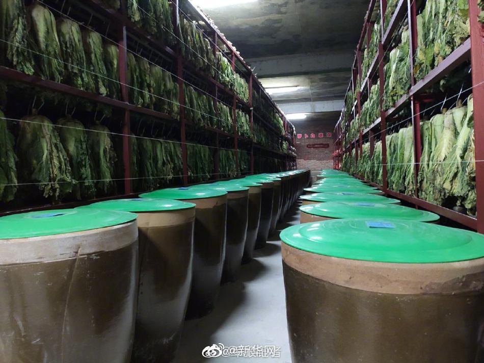 三级黄色片黄色视频中国人