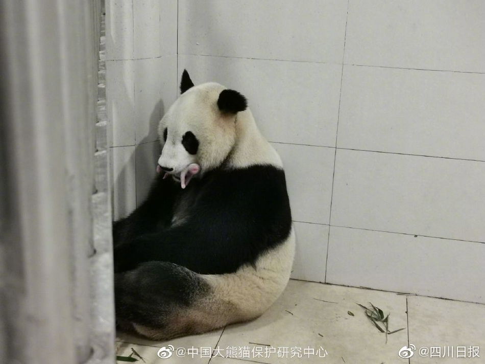 动漫裸体啪啪 h动画霸道总裁